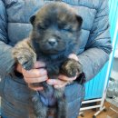 인월동물병원 이미지