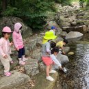 다경어린이집 이미지