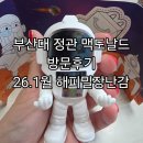 대맥 | 26년1월 부산대 정관 맥도날드해피밀 장난감 구매후기