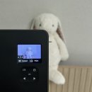 녹십자수의약품 주식회사 | 아기 독감예방접종 시기 비용 주의사항, 4가 3가 차이점