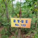 원주굽이길 14코스 용소막성당길 이미지