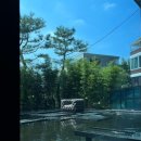 호우주의보(RAINREPORT) 이미지