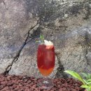 예이제448 이미지