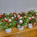 식물그림책작은도서관 | 초등학생 중학생 청소년 생화 미니트리 만들기 크리스마스 그림책 원예수업 출강 후기