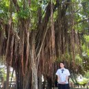 700018 | [8/25] 대만 2일차 상견니투어!! (+ 청춘18X2 투어)