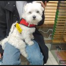 청계종합동물병원 이미지