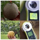 녹색농부팜스 | 유황규산 친환경 농자재 오복이! 초보 농부도 모두 싹이 나도록 만들어줘요.