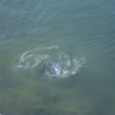 구만리낚시터 이미지