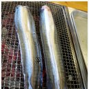 황토장어 이미지