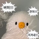신축 오피스텔 HUG 청년버팀목대출 후기