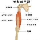 에스짐 - 진주시 남강로17번길 5 | 에스짐