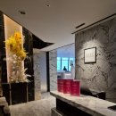 스테이(stay) 이미지