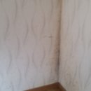 낙원하우스 이미지