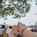 2025 서울재즈페스티벌에서 놀고 마시고온 후기 (서재페 그늘존, 준비물, 추천부스, 가방검사)