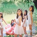 정은 Daum카페