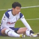 윙스텔 이미지