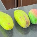 코코마트 이미지