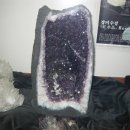 원숭이학교 자연사박물관 이미지