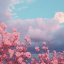 꽃.moon