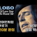 노래를 배워봅시다 12 | I&#39;d Love You To Want Me - LOBO 이미지