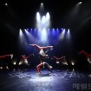 황금토끼 이미지