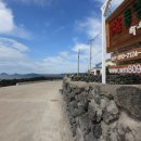 방울풍뎅이 이미지