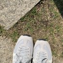 꼬까신운동화빨래방 이미지