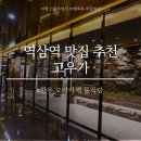 역삼역 점심 맛집 한우 오마카세 강남역 근처 소고기 룸식당 회식 GFC몰 고우가 부모님과함께 생일 기념