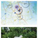 명품하우스 이미지