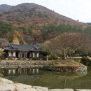 진도 운림산방 이미지