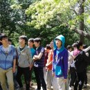 팔용중학교 이미지