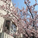 서이도서관 이미지