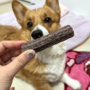 데오덴탈 | 슈퍼포우 강아지 덴탈껌 n번째 재재구매 세가지맛 다 먹여본 후기