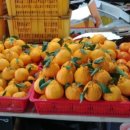 성산오일시장 이미지