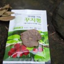 골드온누리 이미지