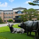 연암대학교 이미지