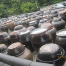 해와 바다 이미지