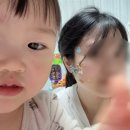 ㈜그린포레에너지 | [2026] 3월의 끝