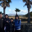 건농종묘농약사 이미지