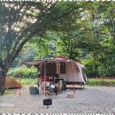 숲속향기캠핑장 이미지