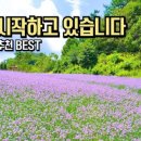 연당로 이미지