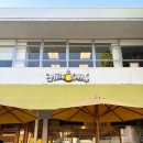 민트핫도그 | 여행 7] 필즈커피 / 폴스미스 핑크벽 / 핑크스 핫도그 할리우드 명예의 거리 / 마담투소 할리우드...