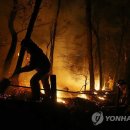 학도암 중 이미지