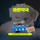 바른동물약국 이미지
