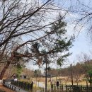 충숙근린공원 이미지