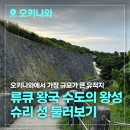 현통치킨 | 필수 관광지 추천, 류큐 왕국 최대 목조 건축물 &#39;슈리 성&#39; 가는 방법 주차요금 운영시간 입장료 방문후기