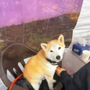 미트존