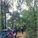 내곡동480 이미지