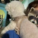 루키 PC방 | [눈나의일상]8월의 첫째주 뭐 했더라?