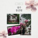 꽃누르미 | 경주동궁원 - 주차 입장료 경주식물원 경주꽃여행 경주실내가볼만한곳